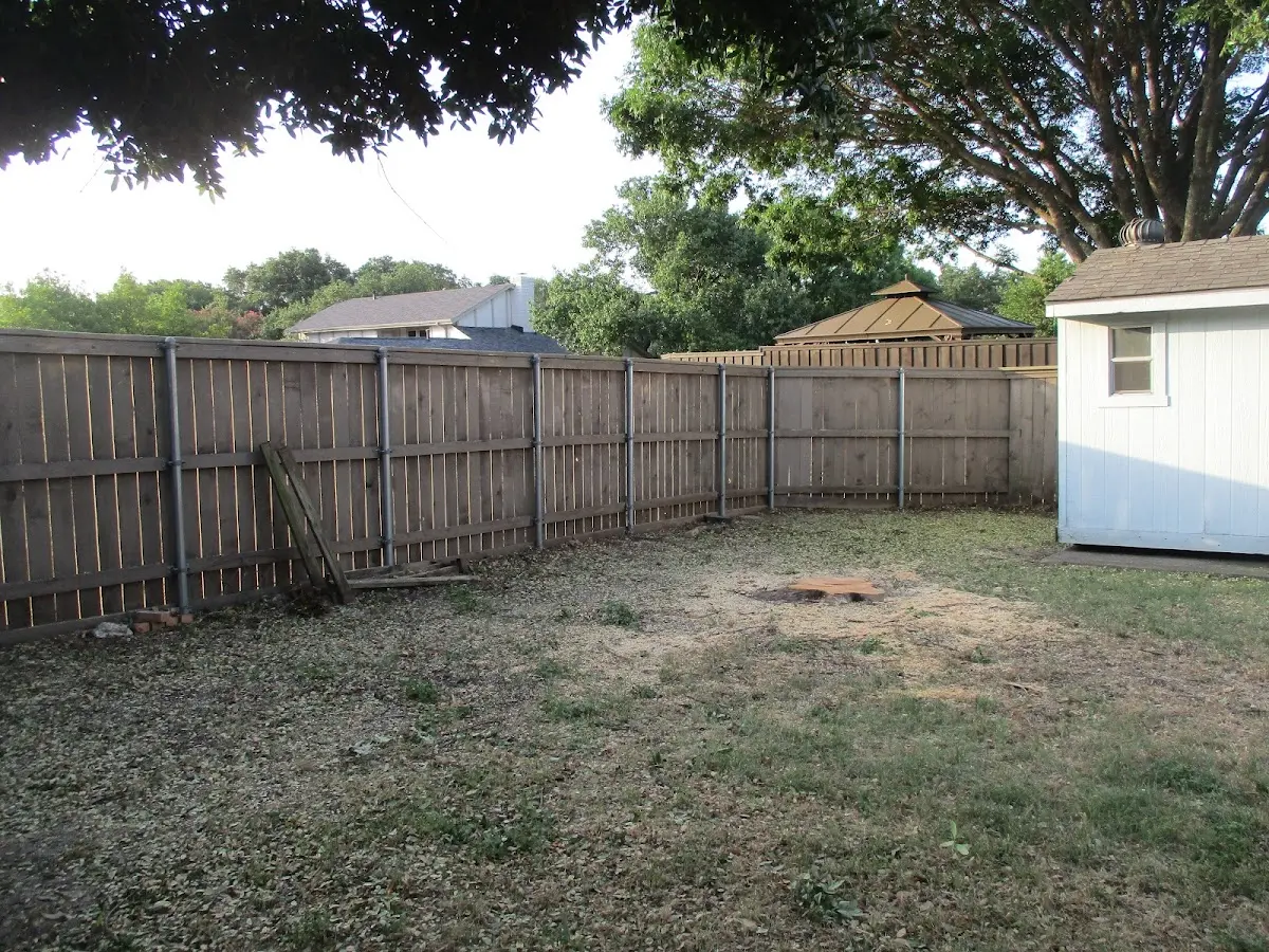 Cleared yard after professional tree removal in West Stockholm